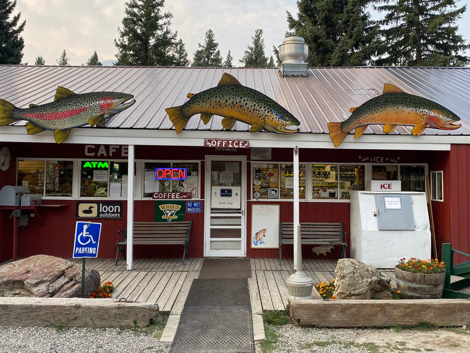 Small, local fly shop photo with three large trout on the roof